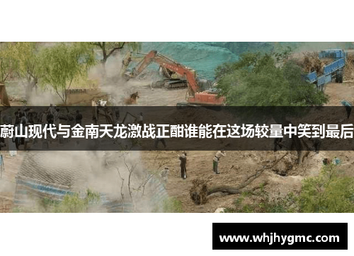 蔚山现代与金南天龙激战正酣谁能在这场较量中笑到最后