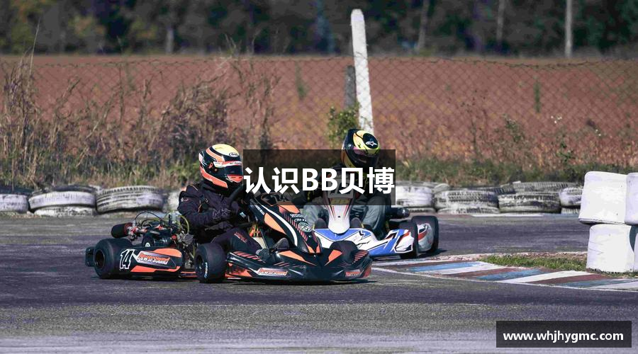 认识BB贝博